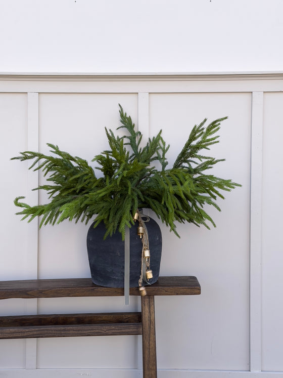 33" Norfolk Pine Spray