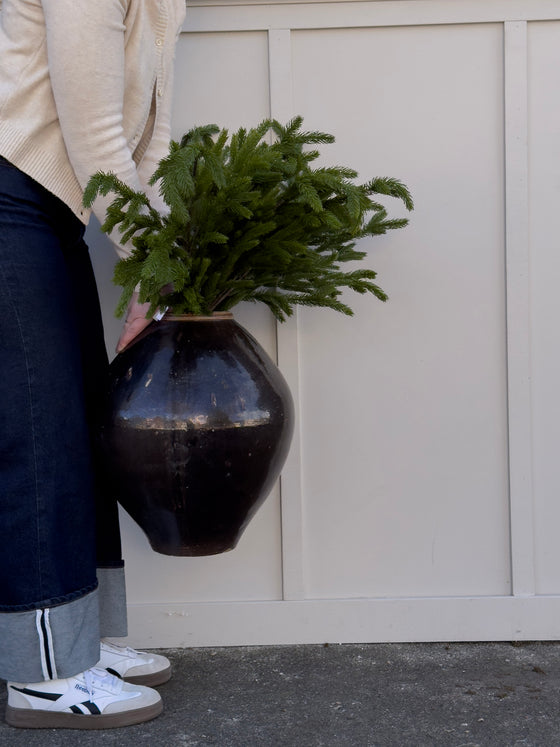 36" Norfolk Pine Branch