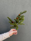 18" Fresh Touch Balsam Fir Spray with Pinecones