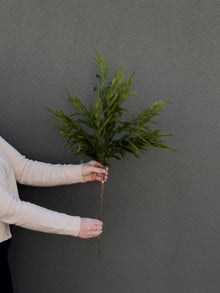  33" Norfolk Pine Spray