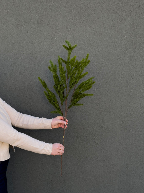 36" Norfolk Pine Branch