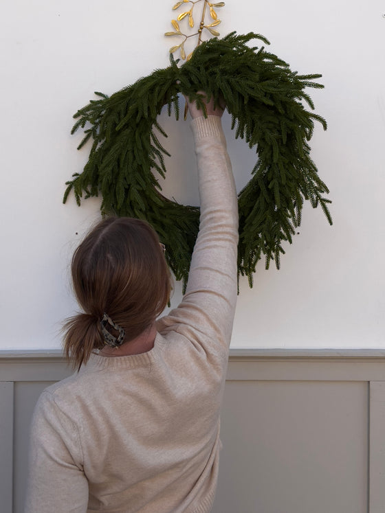 24" Norfolk Pine Wreath