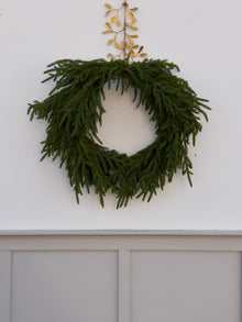  24" Norfolk Pine Wreath