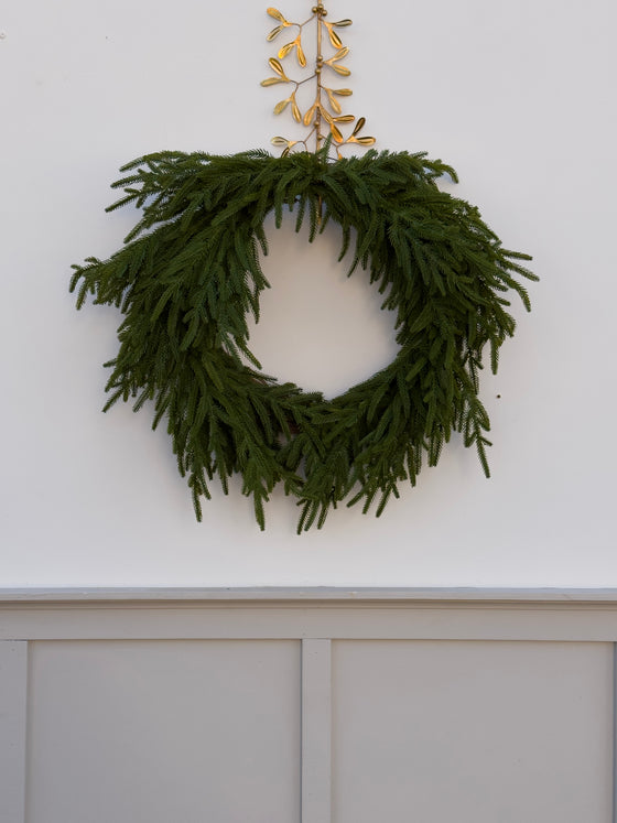 24" Norfolk Pine Wreath