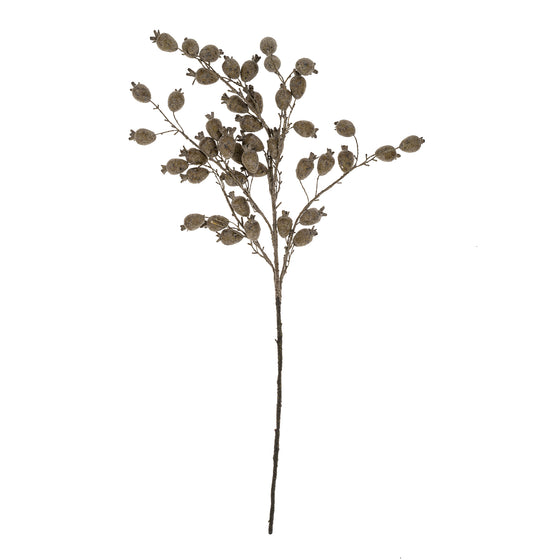 36" Dried Berry Branch