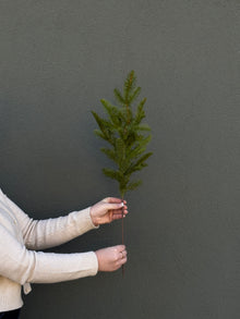  27" Fresh Touch Balsam Fir Stem