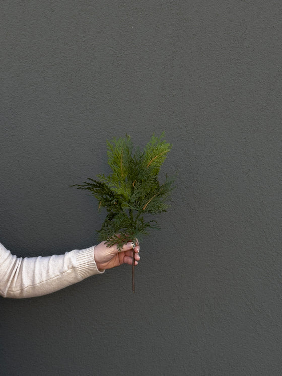 17" Fresh Touch Northern White Pine Cedar Spray