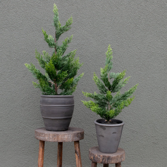 21" Potted Cedar Tree