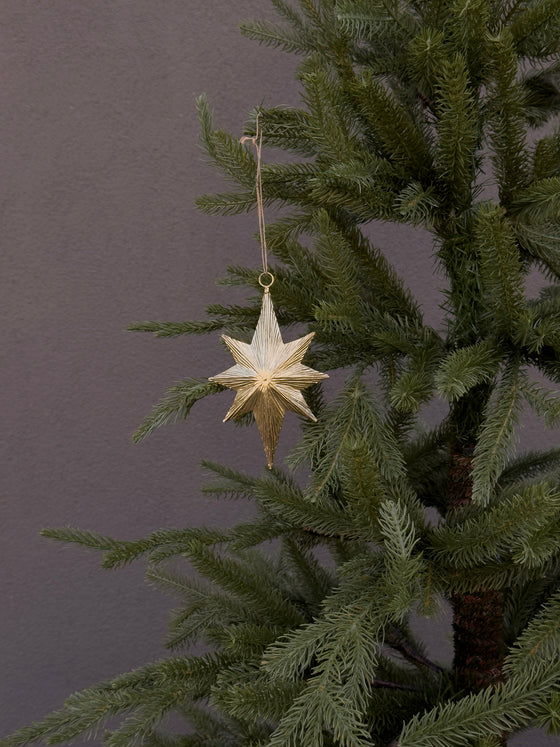 Bright Star Ornament