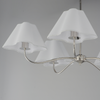 Saxon Chandelier