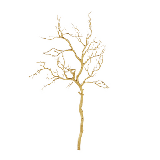 Gold Manzanita Branch