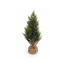  18" Burlap Cedar Tree