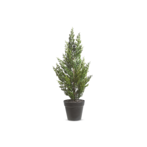 21" Potted Cedar Tree