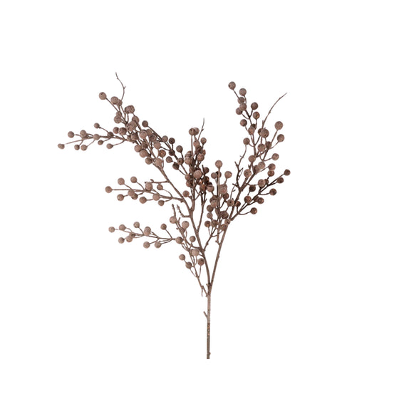 Berry Branch