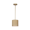 Scarlett 1-Light Pendant