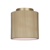 Scarlet 1-Light Semi-Flush Mount