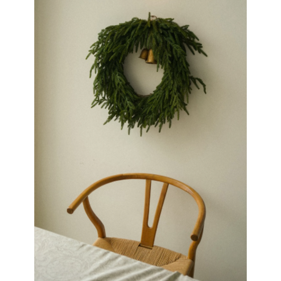 24" Norfolk Pine Wreath