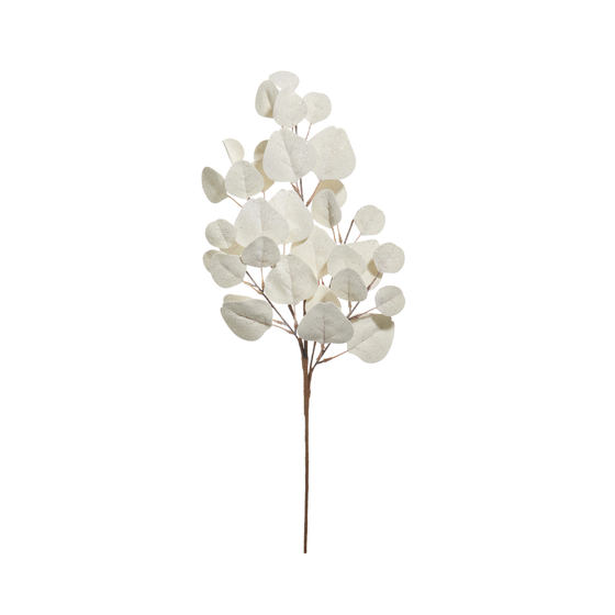 30" White Eucalyptus Spray