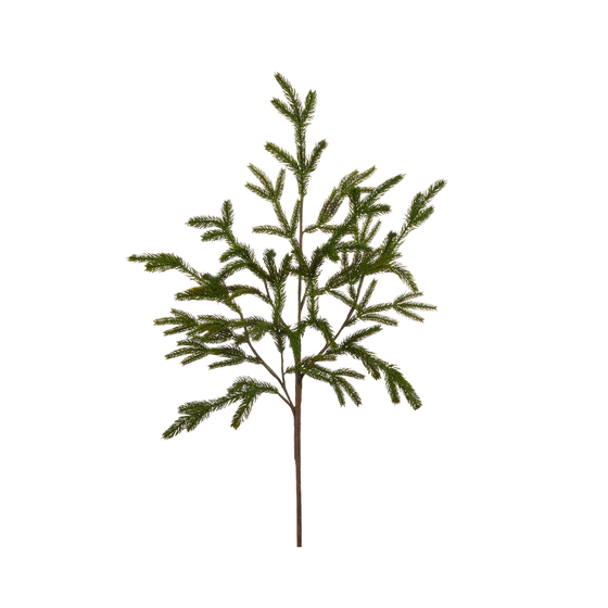 36" Norfolk Pine Branch