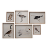 Bird Multi-Colour Wall Art - Assorted