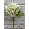12" Cream Green Hydrangea Stem