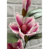 26" Pink Magnolia Spray