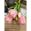 18" Pink Fresh Touch Tulip Bundle