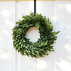 13" Ruscus Wreath