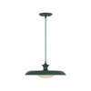 Minori 1-Light Pendant