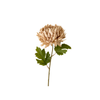 Chrysanthemum Stem - Dusty Pink