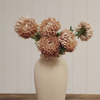 Chrysanthemum Stem - Dusty Pink