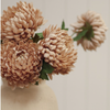 Chrysanthemum Stem - Dusty Pink