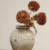 Pompom Dahlia Stem - Brown