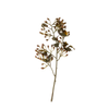 Hipericum Spray