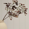 Hipericum Spray