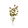 Globe Amaranth Spray