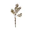 Harvest Berry Spray - Green