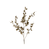 Smoked Eucalyptus Spray