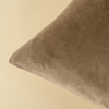 Vera Velvet Pillow - Birch 20"