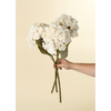 Hydrangea Floral Stem - White