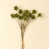 Chestnut Ball Bouquet - Green