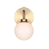 Asher Wall Sconce