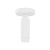 Cleo Adjustable Flushmount