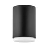 Cedric Small Flushmount