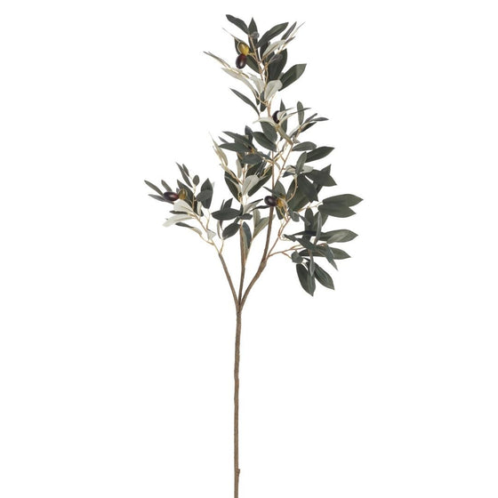 Green Olive Stem