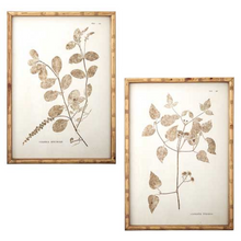  Neutral Botanical Framed Art